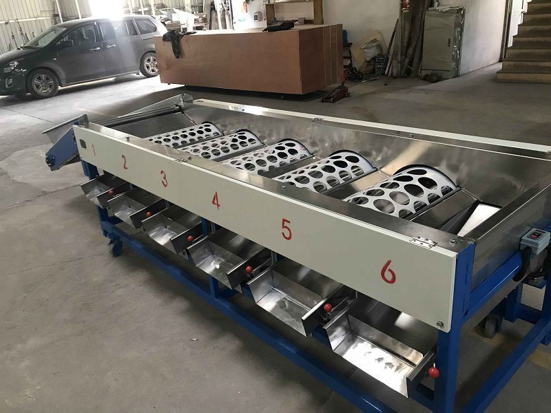 apple lemon sorting machine apple lemon sorting machine