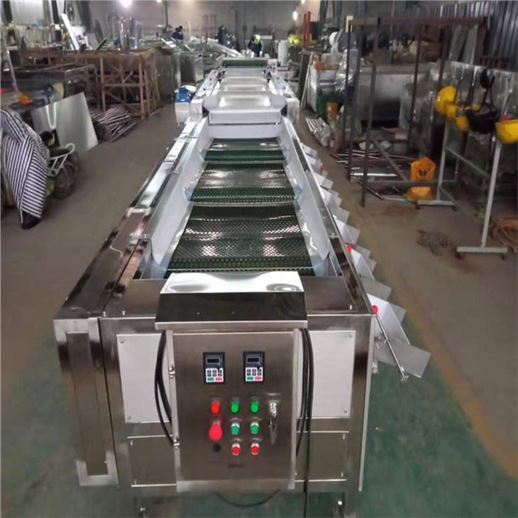 Cherry Sorting Machine