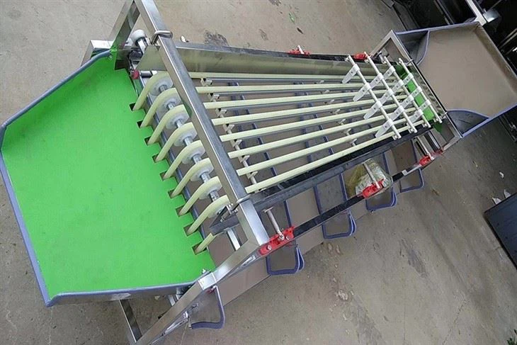 Date Olive Cherry Grading Sorting Machine