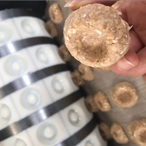 Pet Treats Food Hard Soft Biscuits Making Machine