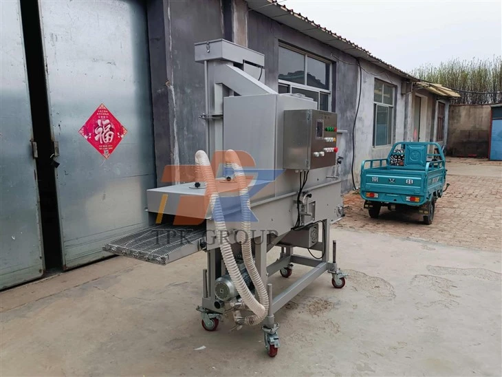 Chicken Breading Machine price