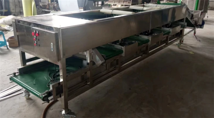 Mushroom Fruit Sorting Machine high quality