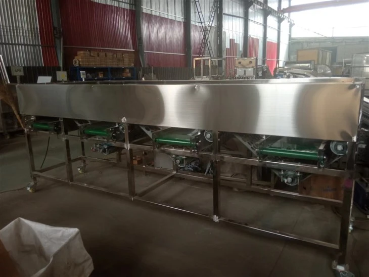 Mushroom Fruit Sorting Machine suppliers