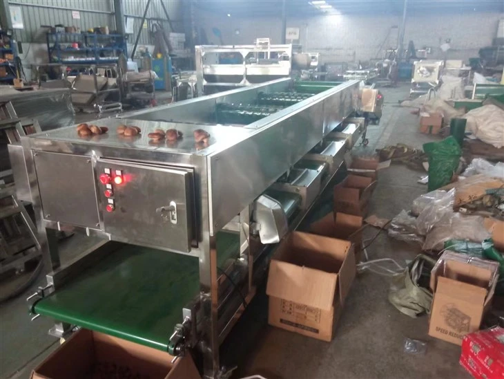 Mushroom Fruit Sorting Machine suppliers