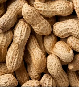 DD8O6MO1YJJCC5DT4 DD8O6MO1YJJCC5DT4