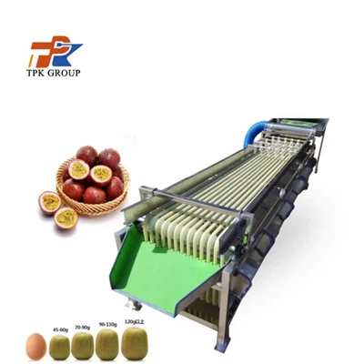 Машина сортування фруктів Kiwi